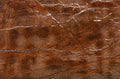 Bidasar Brown marble texture - ultra high resolution photo of a real slab, 235 MP