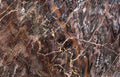 Confusion Dark marble texture - ultra high resolution photo of a real slab, 548 MP