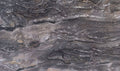 Arabescato Orobico Grigio marble texture - ultra high resolution photo of a real slab, 485 MP