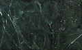 Amazon Green marble texture - ultra high resolution photo of a real slab, 615 MP