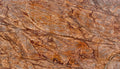 Bidasar Brown marble texture - ultra high resolution photo of a real slab, 539 MP