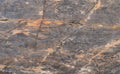 Explosion Blue quartzite texture - ultra high resolution photo of a real slab, 487 MP