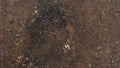 Rasotica marble texture - ultra high resolution photo of a real slab, 316 MP