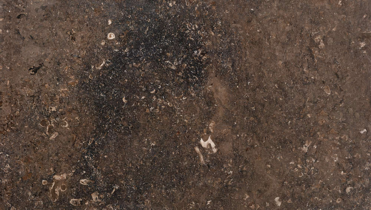 Rasotica marble texture - ultra high resolution photo of a real slab, 316 MP