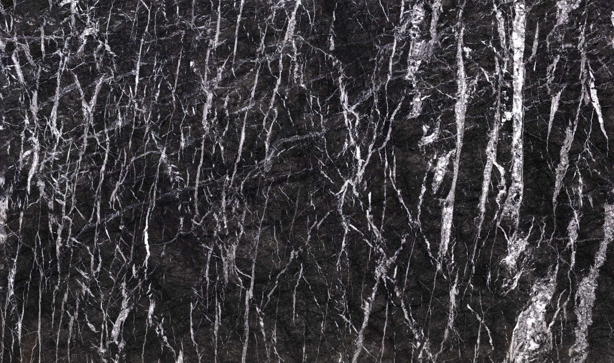 Grigio Carnico marble texture - ultra high resolution photo of a real slab, 230 MP