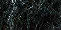 Verias Green marble texture - ultra high resolution photo of a real slab, 502 MP