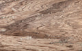 Palissandro Onichiato marble texture - ultra high resolution photo of a real slab, 698 MP