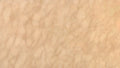 New Marfil marble texture - ultra high resolution photo of a real slab, 464 MP