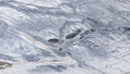 Pietra Viva marble texture - ultra high resolution photo of a real slab, 407 MP