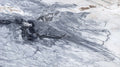 Pietra Viva marble texture - ultra high resolution photo of a real slab, 443 MP