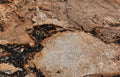 Magma Gold granite texture - ultra high resolution photo of a real slab, 403 MP