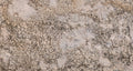 Splendor White granite texture - ultra high resolution photo of a real slab, 173 MP