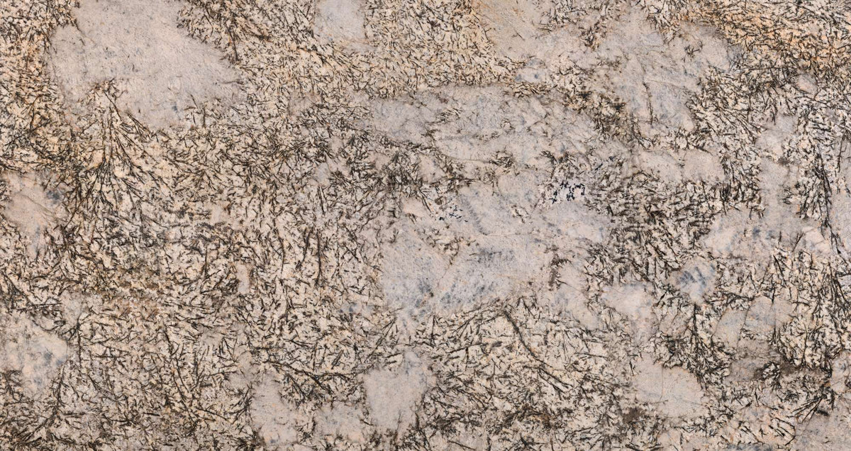 Splendor White granite texture - ultra high resolution photo of a real slab, 173 MP