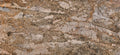 Amazon Gold granite texture - ultra high resolution photo of a real slab, 226 MP