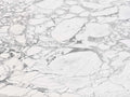 Calacatta Arabescato marble texture - ultra high resolution photo of a real slab, 282 MP