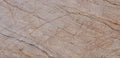 Silver Roots marble texture - ultra high resolution photo of a real slab, 510 MP