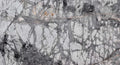 Invisible Grey marble texture - ultra high resolution photo of a real slab, 462 MP