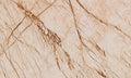 Sofita marble texture - ultra high resolution photo of a real slab, 713 MP
