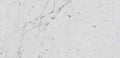 Statuarietto marble texture - ultra high resolution photo of a real slab, 418 MP