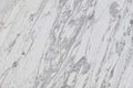 Calacatta marble texture - ultra high resolution photo of a real slab, 284 MP