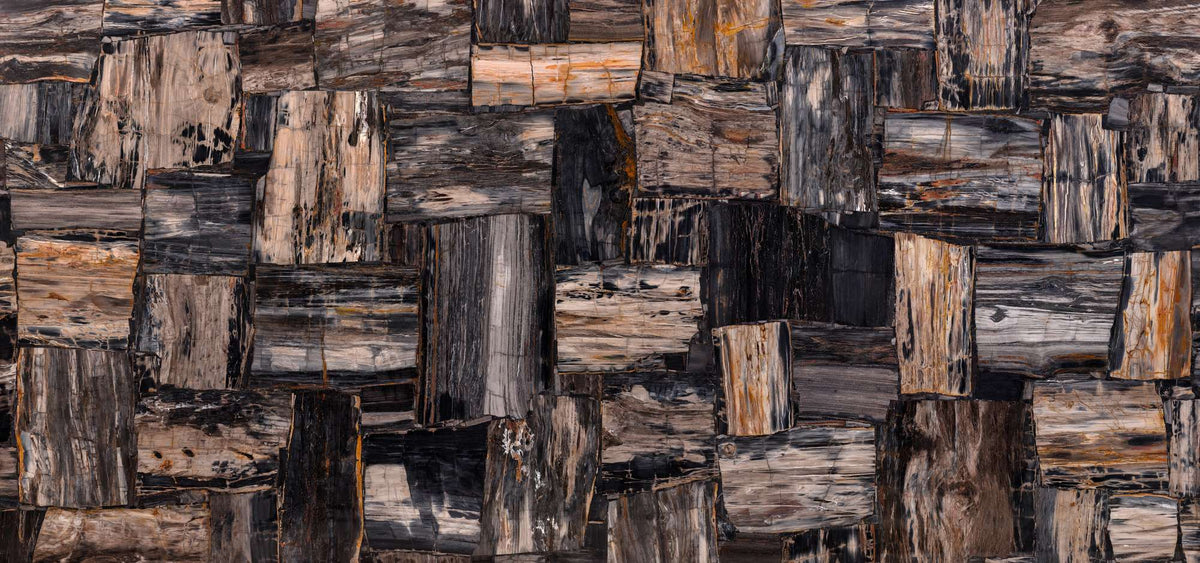Fancyblack Petrified Wood semi-precious stone texture - ultra high resolution photo of a real sample, 406 MP
