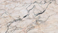 Marble texture - ultra high resolution photo of a real slab, 449 MP