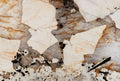 Patagonia quartzite texture - ultra high resolution photo of a real slab, 582 MP