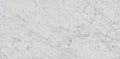 Statuarietto marble texture - ultra high resolution photo of a real slab, 510 MP
