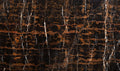 Port Laurent marble texture - ultra high resolution photo of a real slab, 592 MP