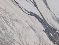 Bianco Arabescato marble texture - ultra high resolution photo of a real slab, 287 MP