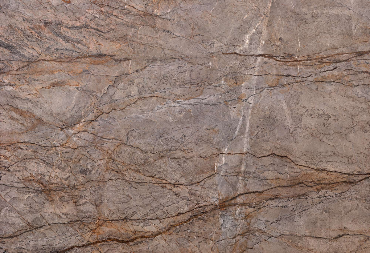 Silver Roots marble texture - ultra high resolution photo of a real slab, 621 MP