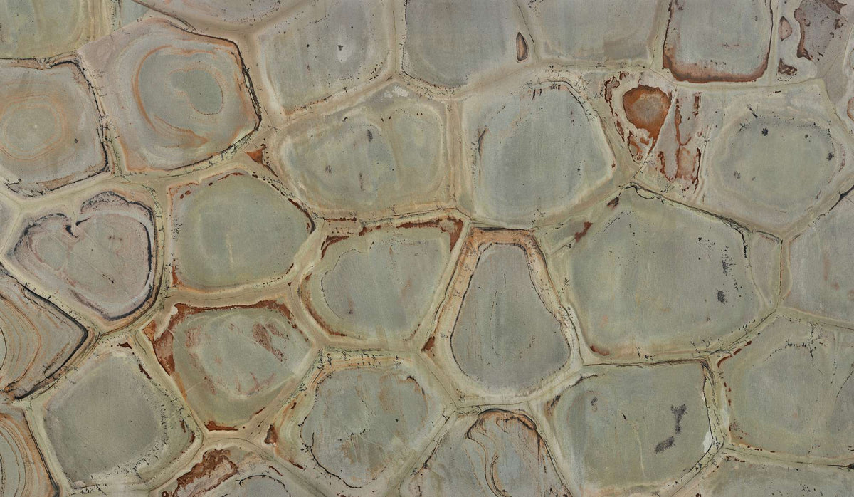 Turtle quartzite texture - ultra high resolution photo of a real slab, 632 MP